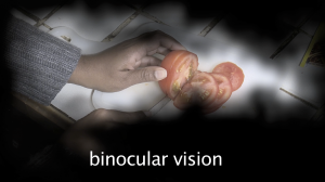 BinocularVisionStill